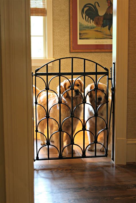 metal indoor gates for dogs